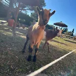 Couette-café Rancho Catalan 1