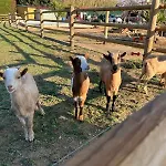 Rancho Catalan 1 * Castell-Platja d'Aro