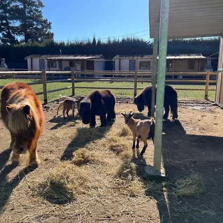 Rancho Catalan 1 Bed and breakfast *