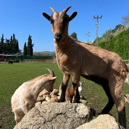 Rancho Catalan 1 לינה וארוחת בוקר *